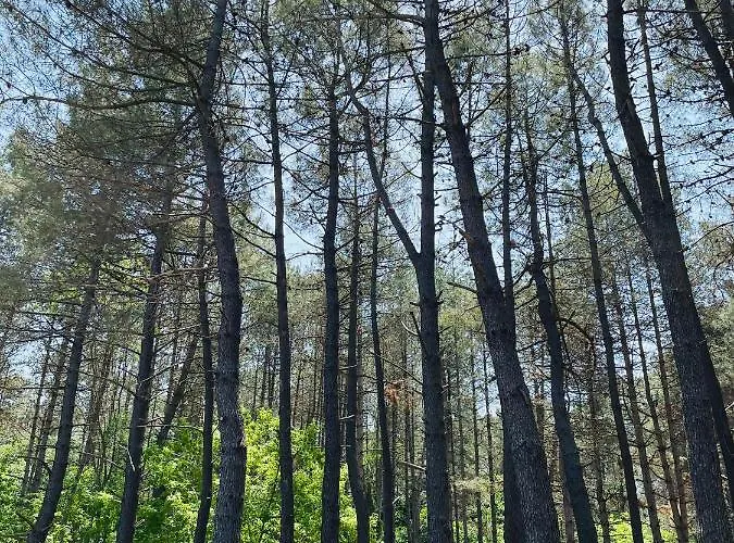 Караваната На Морето Campsite *