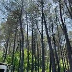 караваната на морето Къмпинг *